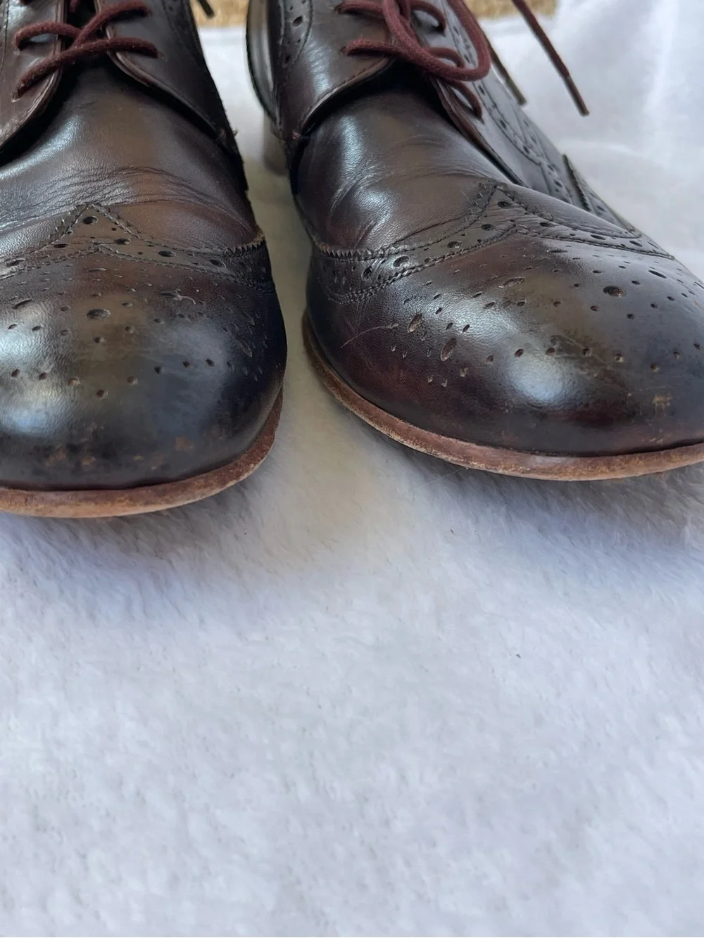 Ted Baker Gryene Derby Brown Wingtip Dress Shoes Business Classic Preppy Office